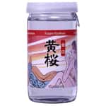 清酒-Sake-黃櫻金印杯裝-180ml-其他清酒-清酒十四代獺祭專家
