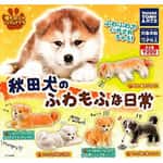 主人生活用品雜貨-日本直送-狗公仔擺設-秋田犬的蓬鬆日常-一套五隻-狗狗精品-清酒十四代獺祭專家