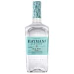其他-更多品牌-Hayman-s-Old-Tom-Gin-海曼老湯姆氈酒-700ml-氈酒-Gin-清酒十四代獺祭專家