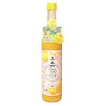 梅酒-Plum-Wine-中田食品-日本紀州-芒果梅酒-500ml-金賞-酒-清酒十四代獺祭專家