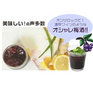 梅酒-Plum-Wine-日本中野BC-紀州-藍梅梅酒-1800ml-酒-清酒十四代獺祭專家