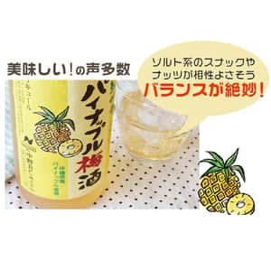 梅酒-Plum-Wine-日本中野BC-紀州-沖繩菠蘿梅酒-720ml-酒-清酒十四代獺祭專家