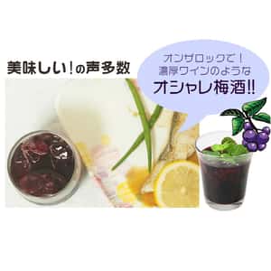 梅酒-Plum-Wine-日本中野BC-紀州-藍梅梅酒-720ml-酒-清酒十四代獺祭專家