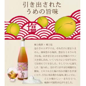 梅酒-Plum-Wine-北島酒造-塩うめ-天然海鹽-梅酒-720ml-酒-清酒十四代獺祭專家