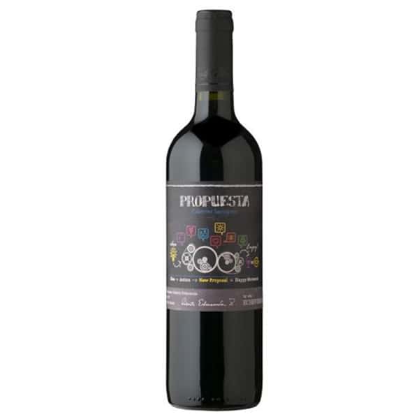 Viña Viña Echeverria Propuesta Cabernet Sauvignon 2017 750ml 750ml  正面圖