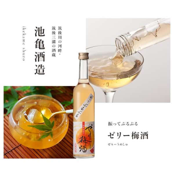 池龜酒造 池龜酒造 啫喱梅酒 500ml 500ml  正面圖