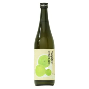 高嶋酒造 高嶋酒造 白隱正宗 本格燒酎 冰溫熟成梅酒 720ml - 限定品 720ml  正面圖