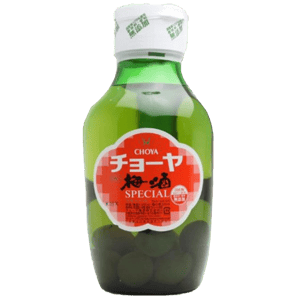 CHOYA CHOYA 梅酒 蝶矢 Special 1.6L 6L 正面圖