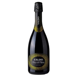 Domaine Domaine Saint Germain Bourgogne Pinot Noir 2020 750ml 750ml 正面圖
