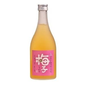 船坂酒造 船坂酒造 飛驛高山完熟梅酒 500ml 500ml  正面圖