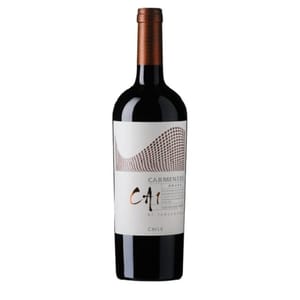 智利紅酒 Chile TerraNoble Andes CA1 Carmenere 2021 泰瑞貴族酒莊山脈1號佳美娜紅酒 750ml - 原裝行貨