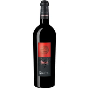 Numanthia Numanthia Termes 2015 750ml  - 原裝行貨 750ml  正面圖