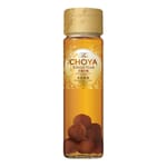 CHOYA CHOYA 梅酒 蝶矢 The CHOYA Single Year 本格梅酒 一年至極之梅  650ml 650ml  正面圖
