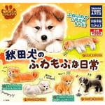 日本直送 日本直送 狗公仔擺設 秋田犬的蓬鬆日常 一套五隻 - 清貨優惠   正面圖