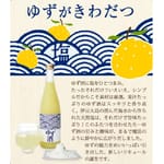 北島酒造 北島酒造 塩ゆず 天然海鹽 柚子酒 720ml 720ml  背面圖