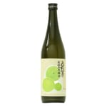 高嶋酒造 高嶋酒造 白隱正宗 本格燒酎 冰溫熟成梅酒 720ml - 限定品 720ml  正面圖
