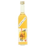 池龜酒造 池龜酒造 啫喱梅酒 500ml 500ml  正面圖