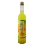 池龜酒造 池龜酒造 夏蜜柑果酒 500ml 500ml  正面圖