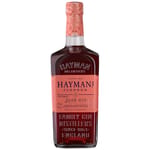 Hayman's Hayman's Sloe Gin 海曼黑刺李甜氈酒 700ml 700ml  正面圖