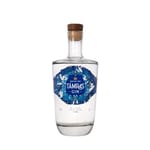 Adventurist Adventurist Spirits Distillery Tamras 印度乾氈酒 42.8度 700ml 700ml  正面圖