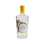 Two Two Moons Calamansi Gin 緻月毡 700ml 700ml  正面圖