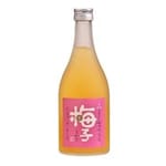 船坂酒造 船坂酒造 飛驛高山完熟梅酒 500ml 500ml  正面圖