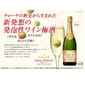 CHOYA CHOYA 梅酒 蝶矢 德國製 Ume Salute Sparkling 氣泡梅酒 香檳梅酒 有氣梅酒 750ml 750ml  背面圖