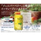 CHOYA CHOYA 梅酒 蝶矢 銀座BAR Ume Gin Cocktail 雞尾酒梅酒 350ml 350ml  背面圖