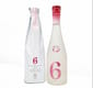 新政 新政 No.6 X-type 2020-2021 Season Theme 預流果 生酛 純米原酒 720ml 720ml  正面圖