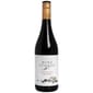 Nine Nine Stones Shiraz Barossa Valley 澳洲九塊石頭巴羅莎山谷切粒子紅酒 750ml 750ml  正面圖